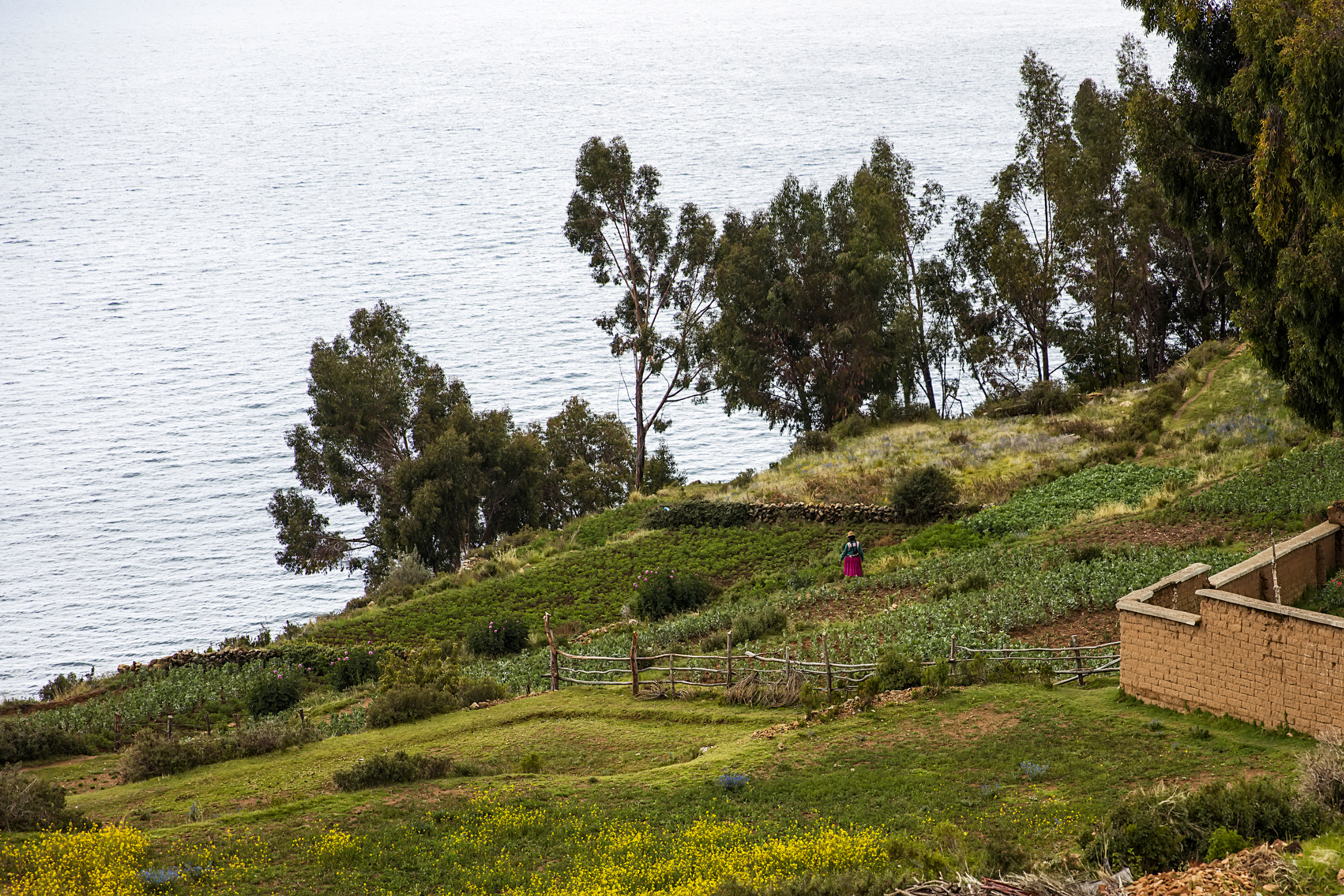 yumani, isla del sol, lake titicaca.webp